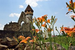 Abația Cârța  - Il Palazzo Brukenthal di Avrig